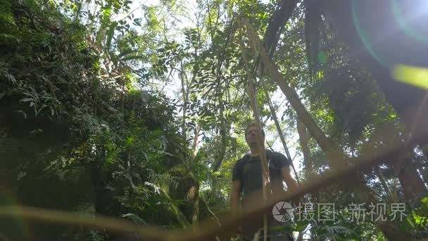 Man Walking In Rainforest