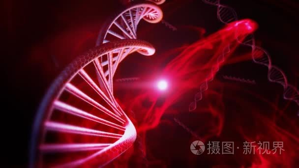 红 Dna 链纺纱与三维动画的极端特写慢动作