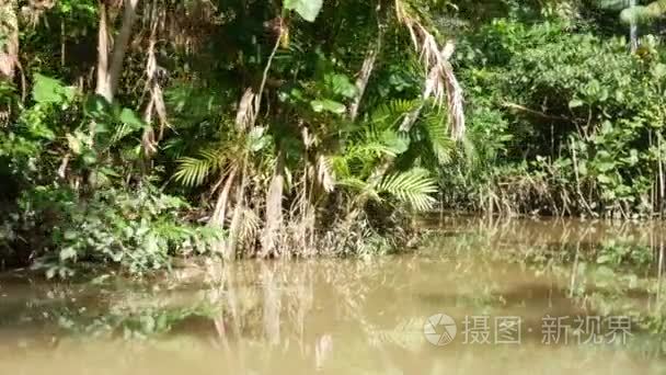 在亚马逊河上的小船旅行视频