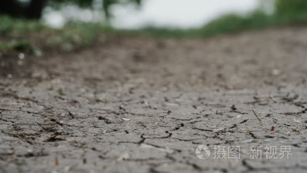 裂缝在地面宏森林背景关闭