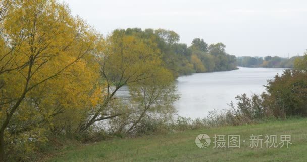 River Lake Pond in Forest Park River Turns Yellow Trees Green Re
