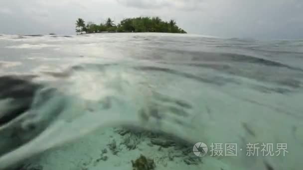 热带岛屿和珊瑚礁的水下生活