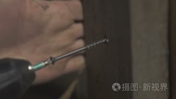 飞过春树.视频