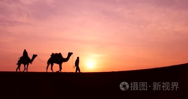 沙漠中的骆驼交易视频