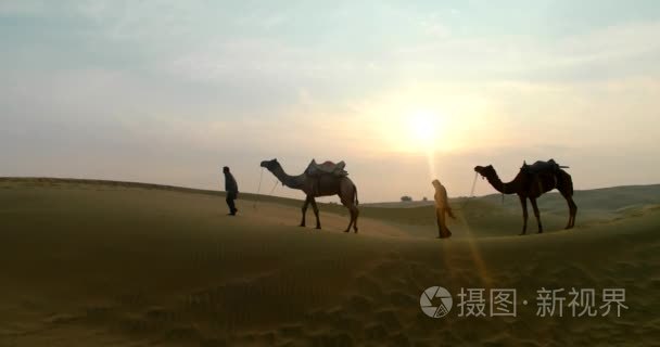 塔尔沙漠骆驼交易视频