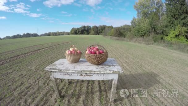 两个柳条篮子里的苹果在麦田，时间推移 4 k 白色的木桌上放置在秋天