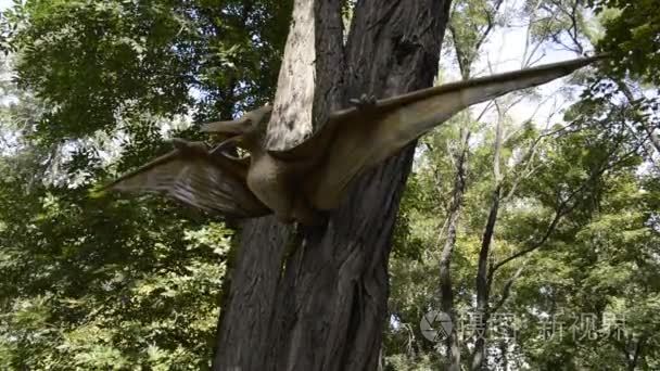 Pterodactylus.Period 侏罗纪和白垩纪时期