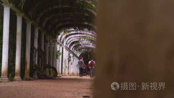 夫妻在植物园的拱门下散步视频