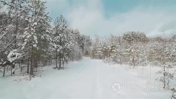 雪白色路上穿越冬季森林视频