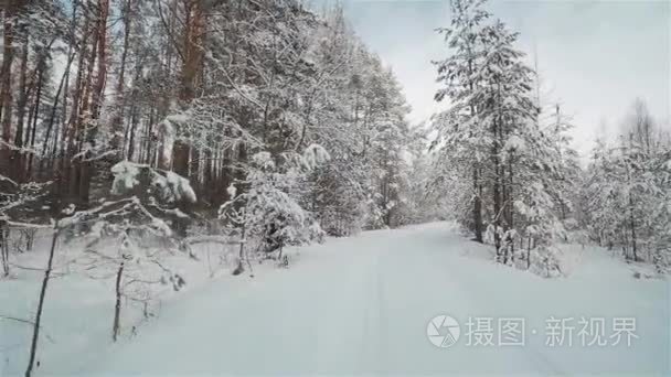 雪白色路上穿越冬季森林视频