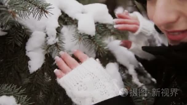 美丽的女孩触动云杉树枝上的雪