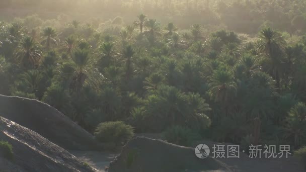 在沙漠的公路上棕榈树摩洛哥视频