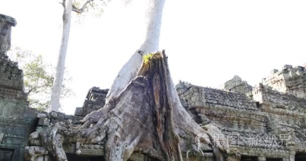 柬埔寨吴哥窟寺古遗址建筑圣剑视频