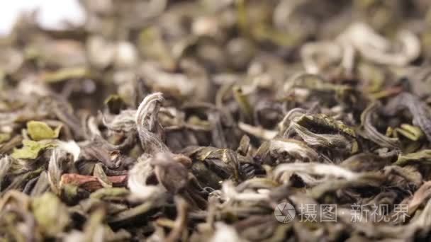 绿茶叶密切了旋转视频