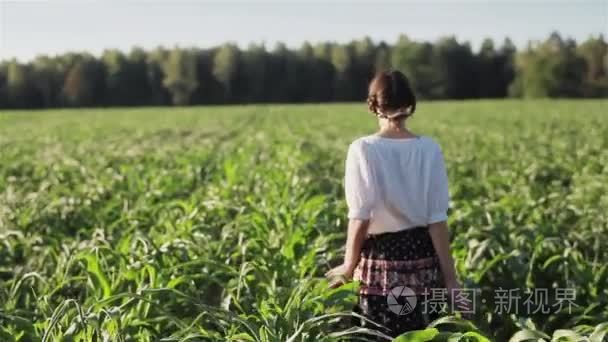 年轻女子走过场感人的玉米叶子视频