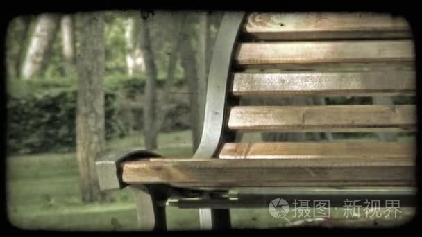 公园的长椅。复古风格化视频剪辑