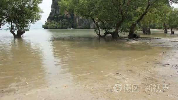 退潮海湾时间流逝视频