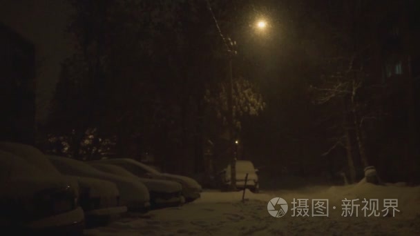 在元宵节晚上在院子里雪视频