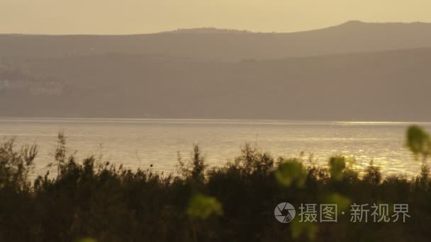 Yellow flowers and the Sea of Galilee at dusk shot in Israel