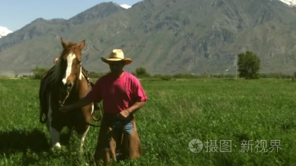 指导他的马在草地上的牛仔视频