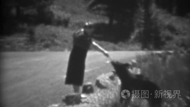 饲喂野生黑熊的女人视频