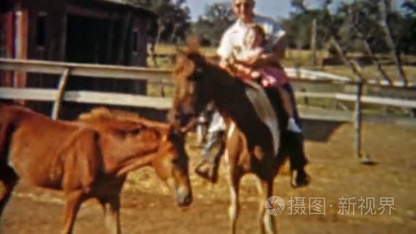 爸爸教女孩如何骑一匹马