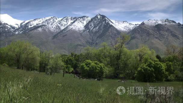 雄伟的雪山视频