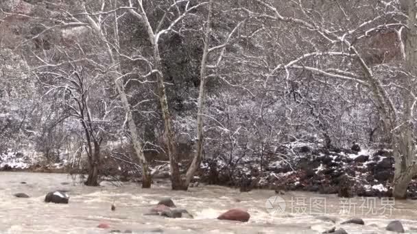 冬季在流上洪水泛滥视频