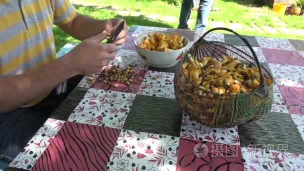 male hand clean mushroom chanterelle at wooden table yard. 4K