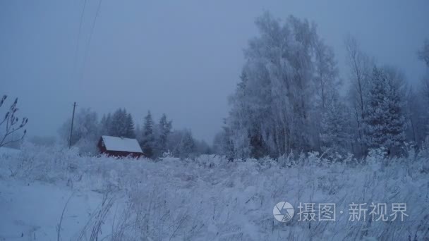 树木覆盖着白霜在宅基地期间暴风雪和雾，时间推移 4 k