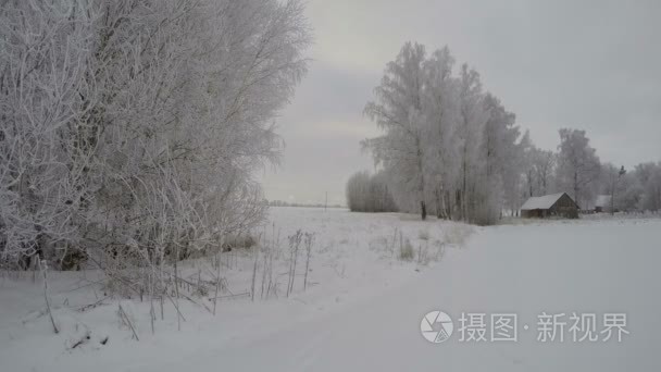 树覆满白霜与木结构房屋在领域在日出，时间推移 4 k