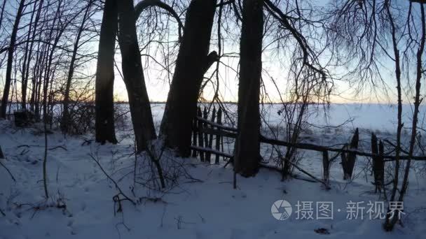 通过树木在冬天，延时 4 k 的日出