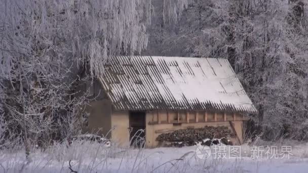 风景与小屋和冷淡的白桦树视频