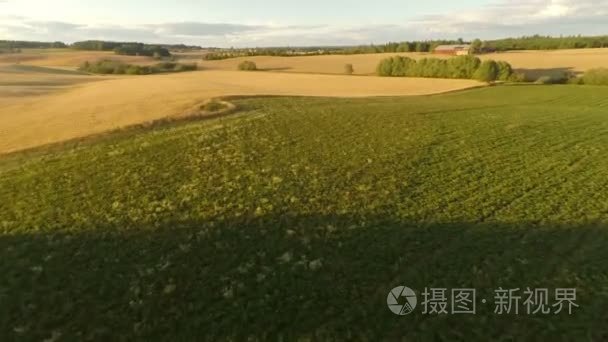 在大农场的有机大麦场飞越视频