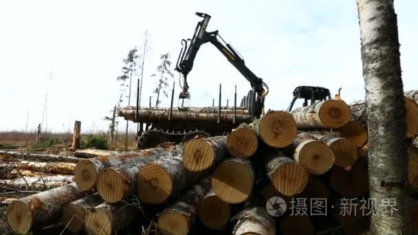 查看关于木材装载机在森林视频