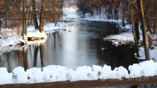 冰封的河流和树木视频