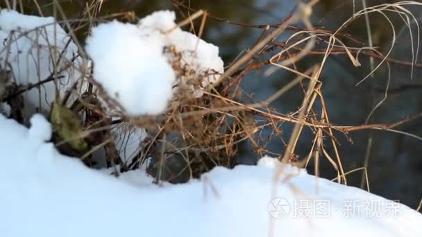 美丽冰冻的河