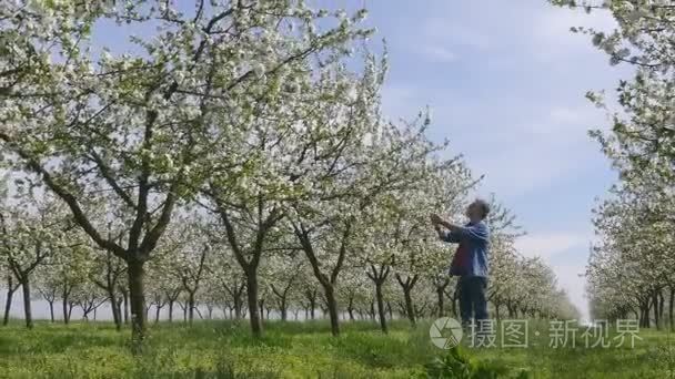 农民在即将到来的樱桃园视频