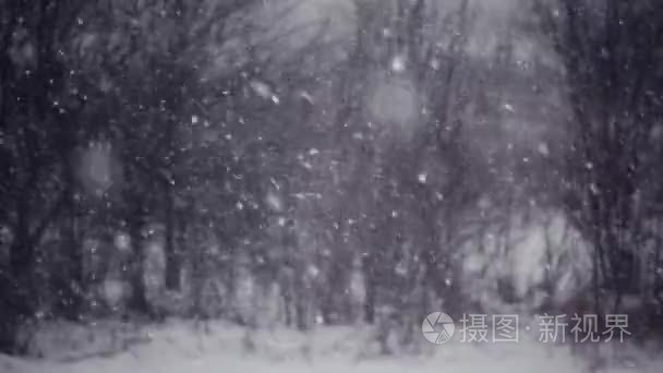 雪落在模糊的森林景观的背景