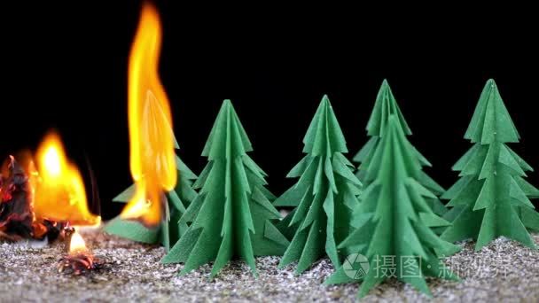 本文森林火灾视频