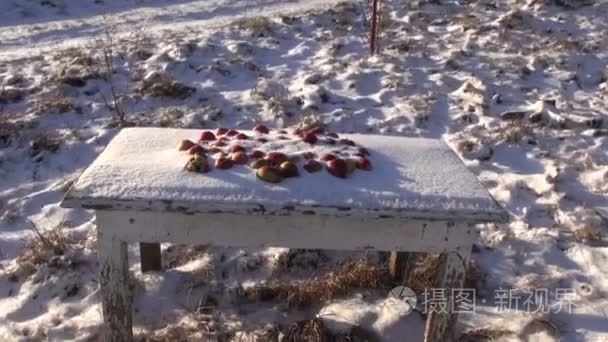 雪下桌上的红苹果视频