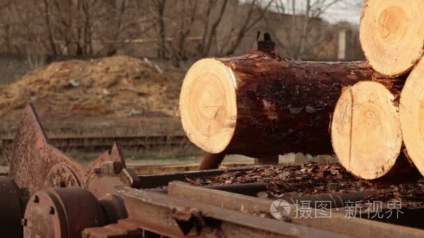 木材运输机制视频