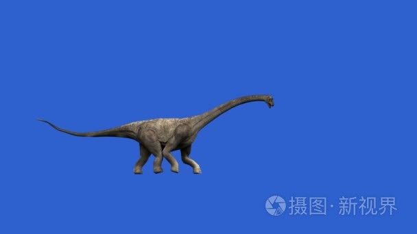 恐龙在绿色屏幕上的动画视频