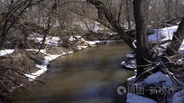 与小河雪林视频