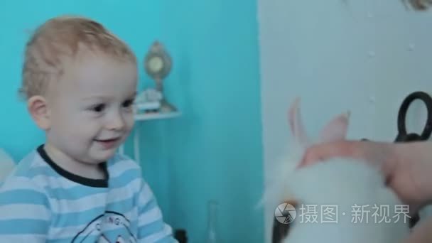 母亲为她的儿子显示白色的兔子视频