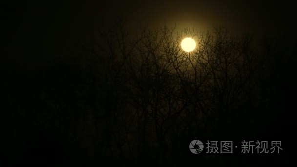 满月夜云与大恶树的时间视频