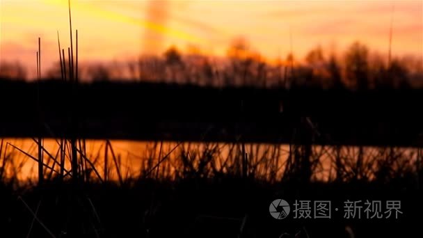 在山水日落橙色自然河芦苇草视频