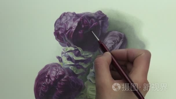 对紫甘蓝与茎绘画笔触视频