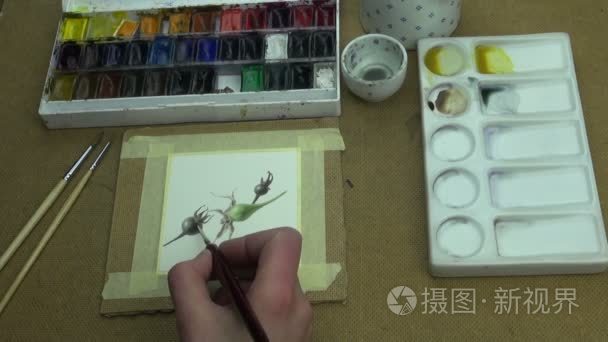 玫瑰果绘画的过程视频
