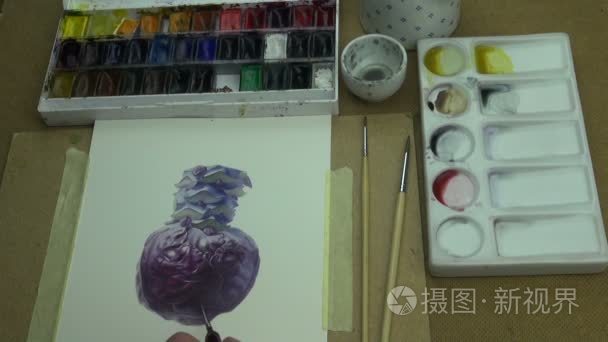 绘画的紫甘蓝的研究视频